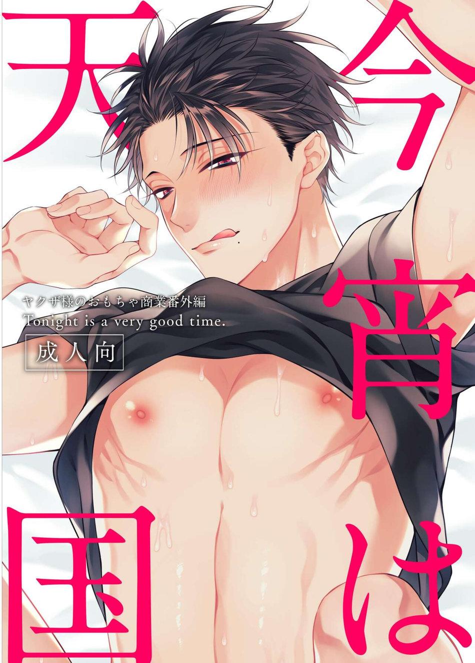 The Yakuza s Sex Toy Yaoi Smut BL Manga