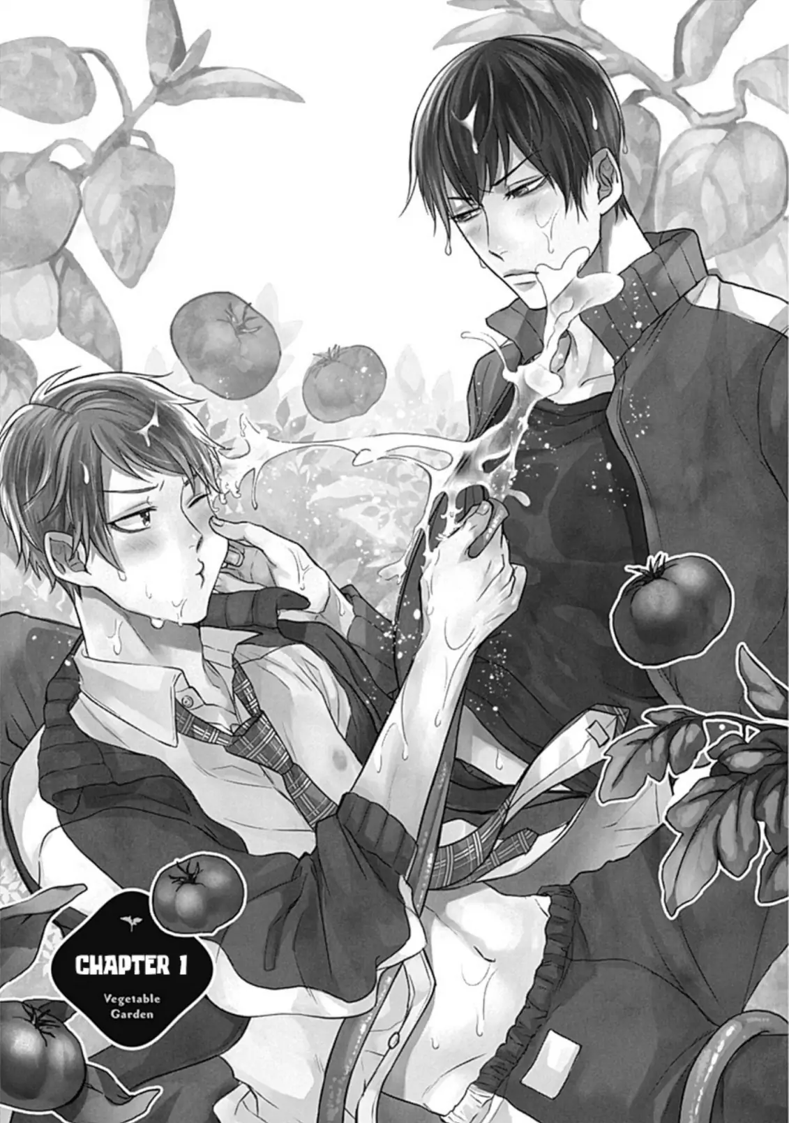 Surechigai Vegetable Garden <b>Yaoi</b> Love Triangle Manga. 