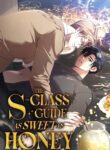 The S-Class Guide as Sweet as Honey