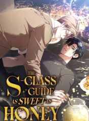 The S-Class Guide as Sweet as Honey